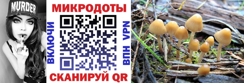 Галлюциногенные грибы Psilocybine cubensis Дорогобуж