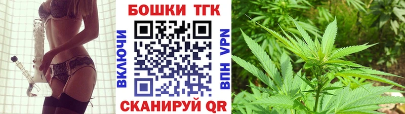 Конопля гибрид  Дорогобуж 